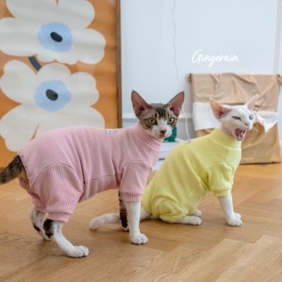 GINGERAIN德文猫绝育护肚四腿服