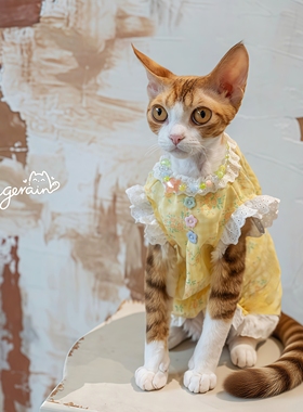 GINGERAIN 花边娃娃衫无毛猫德文猫衣服夏季宽松透气纯棉背心