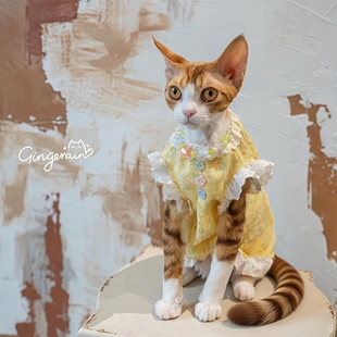 宽松透气纯棉背心 无毛猫德文猫衣服夏季 GINGERAIN 花边娃娃衫