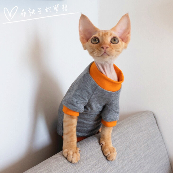 gingerain 德文猫衣服斯芬克斯无毛猫柯尼斯弹力薄卫衣