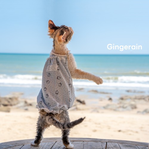 GINGERAIN 蕾丝皱皱纱吊带德文猫衣服无毛猫高弹透气防晒印花吊带