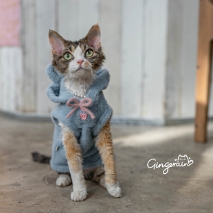 GINGERAIN 新年毛茸茸马甲背心德文猫无毛猫连帽小熊保暖外套