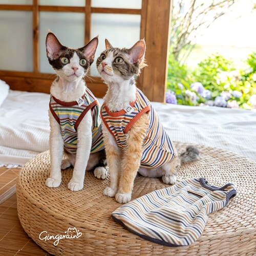 GINGERAIN 冰爽棉德文猫衣服无毛猫条纹背心空调服打底衫夏季
