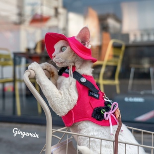 GINGERAIN  露营户外风牛仔遛猫胸背带牵引绳套装德文无毛猫背心