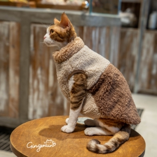 GINGERAIN 内胆加绒拼接羊羔绒马甲德文猫无毛衣服保暖外套背心
