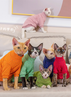 GINGERAIN 多色纯棉双面打底衫无毛德文猫衣服糖果系保暖打底衫