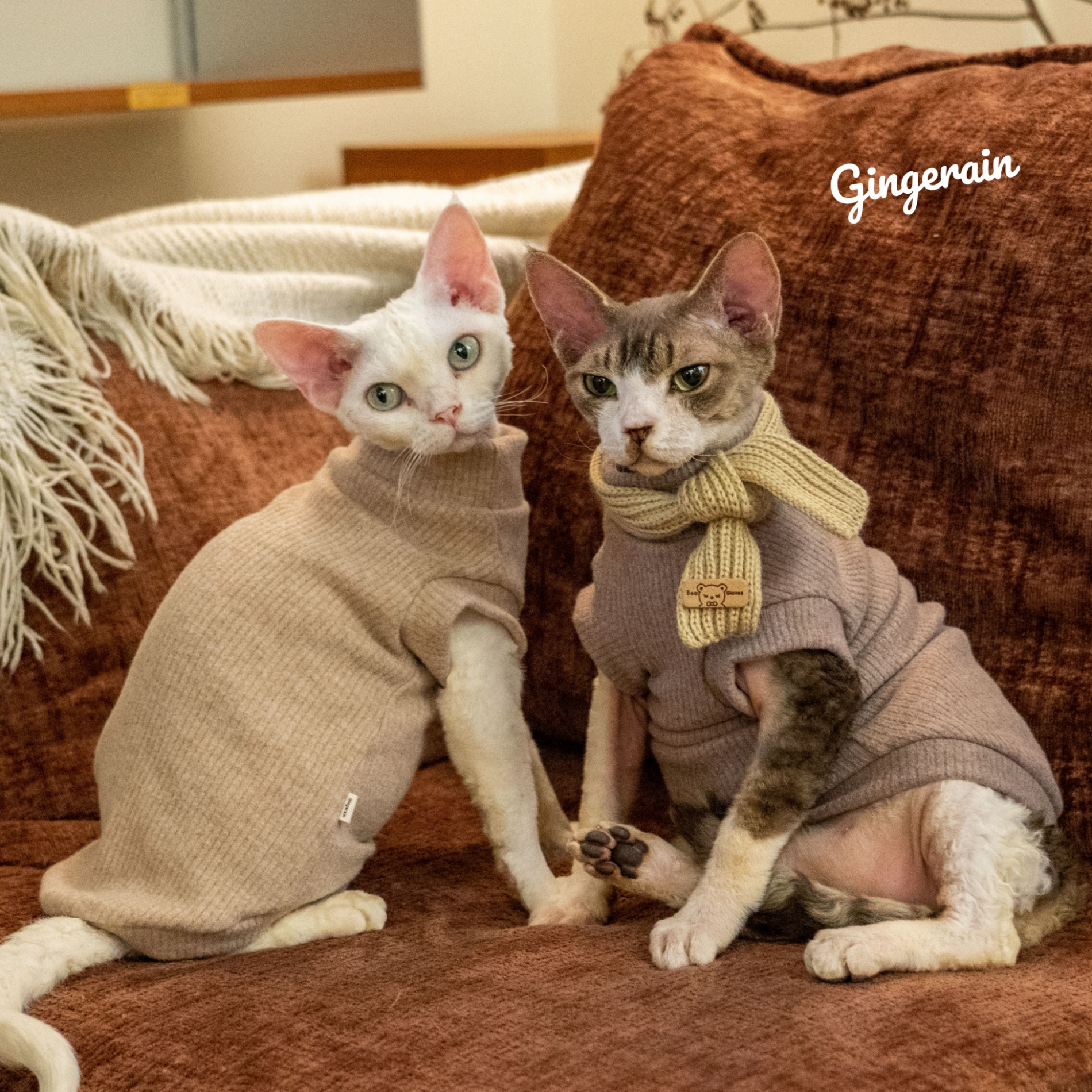 GINGERAIN无毛猫保暖背心