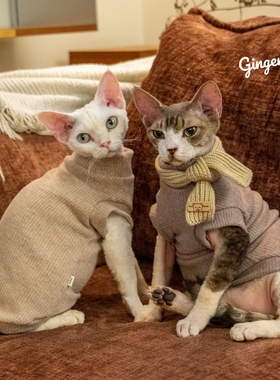 GINGERAIN 韩剧氛围感穿搭无毛猫衣服德文保暖针织背心美拉德风