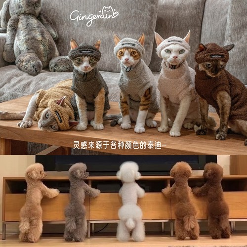 GINGERAIN  泰迪绒套装德文猫衣服无毛猫简约T恤打底衫保暖卫衣