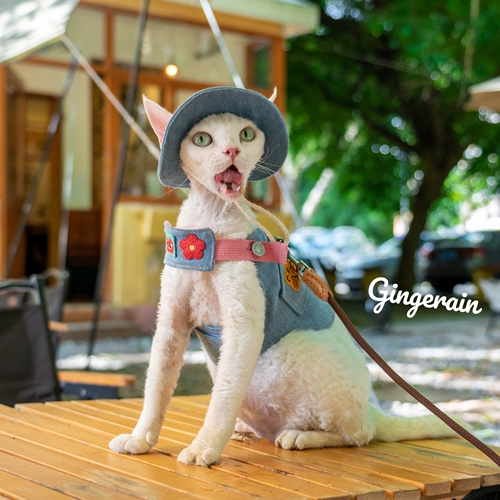 Кемпинг с джинсовой ткани с джинсовым ремешками на открытом воздухе.