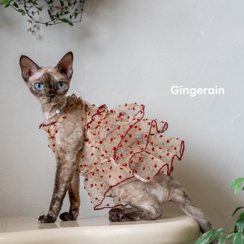 GINGERAIN blingbling吊带裙无毛猫德文猫衣服闪光礼服网纱蓬蓬裙