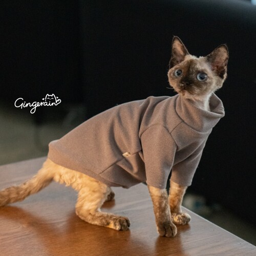 GINGERAIN无毛猫衣服耐脏打底衫