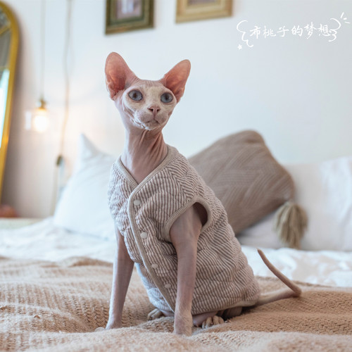 夹棉保护敏感皮肤系扣马甲无毛猫