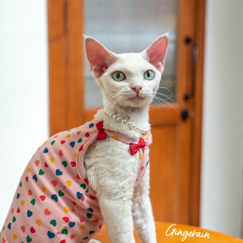 GINGERAIN德文猫衣服吊带背心