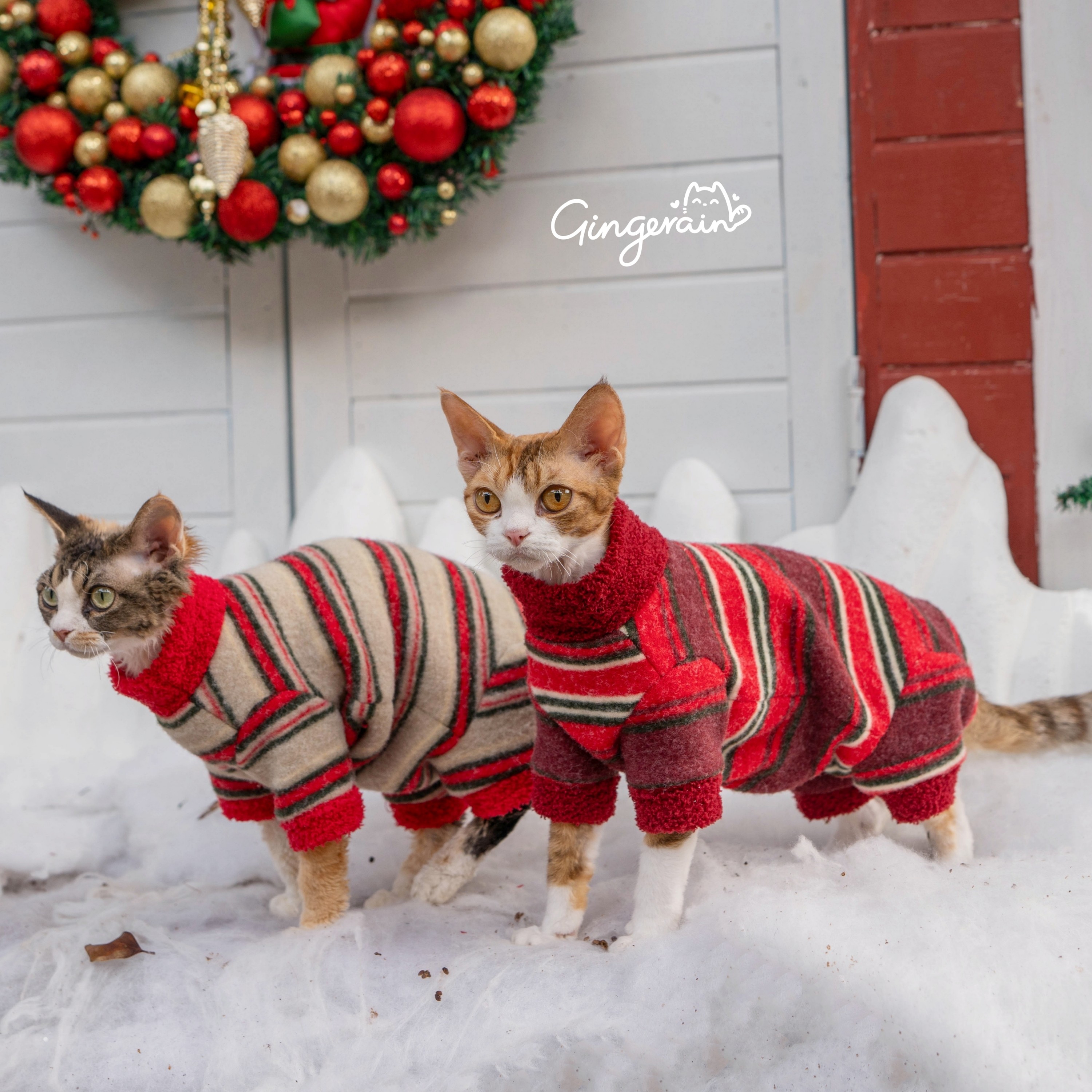 GINGERAIN 圣诞节日氛围四腿包肚德文猫衣服无毛猫加厚保暖卫衣,宠物/宠物食品及用品,猫宠物服装/雨衣（新）,淘宝优惠券,粉丝福利购,淘宝优惠卷