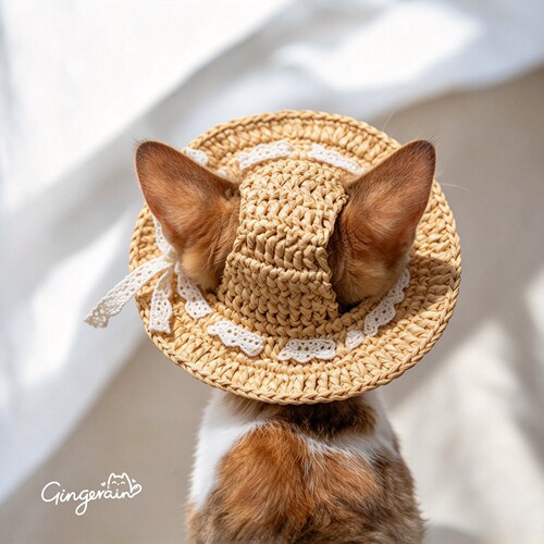 GINGERAIN 草绳渔夫帽无毛猫德文牛仔纯棉夏季防晒露耳朵太阳帽子