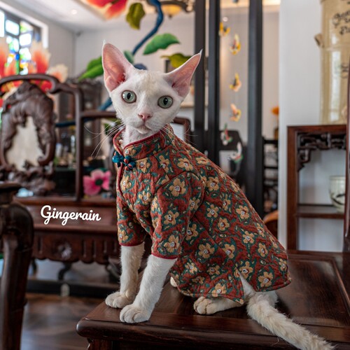 GINGERAIN猫咪加厚旗袍拜年服