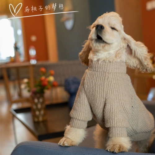 Gingrain Caest Data Teddy Bargain Dog Dog Clothing Spring и осенние способы теплого дна с длинным свитером