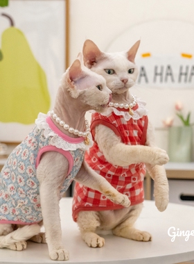 GINGERAIN 无毛猫衣服斯芬克斯德文纯棉透气可爱甜美系娃娃领背心