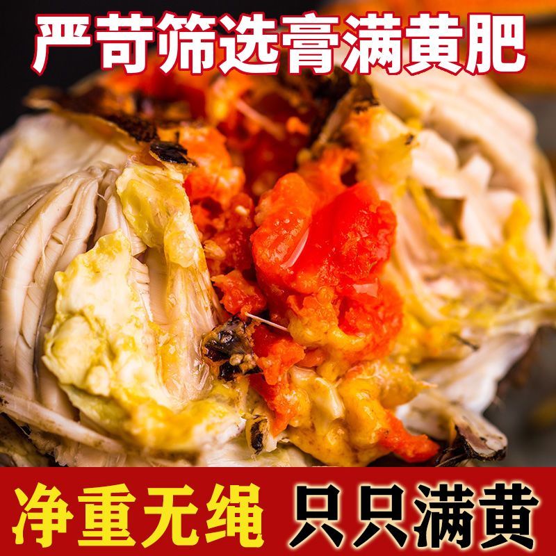 10只2.5两全母3.5两公蟹苏州净重活蟹现货大闸蟹鲜活螃蟹特大礼盒