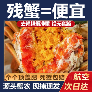 苏州净重3斤1斤全母特大残蟹大闸蟹鲜活蟹螃蟹现货公母蟹断脚缺脚