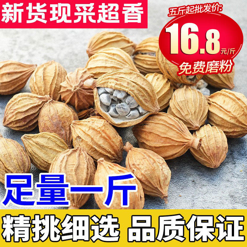 香料川香砂仁沙仁500g包