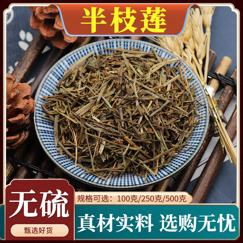 半枝莲中药材连草支莲新