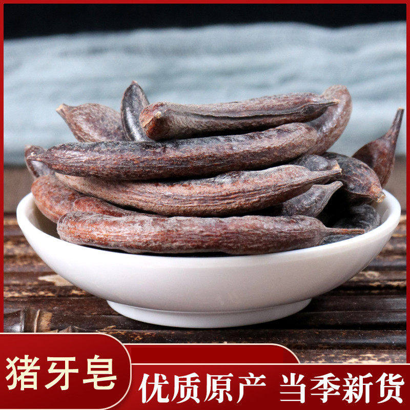 皂荚树 猪牙皂 牙皂 小皂角50克中药材实体店铺中草药大全