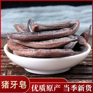 皂荚树  猪牙皂 牙皂  小皂角50克中药材实体店铺中草药大全