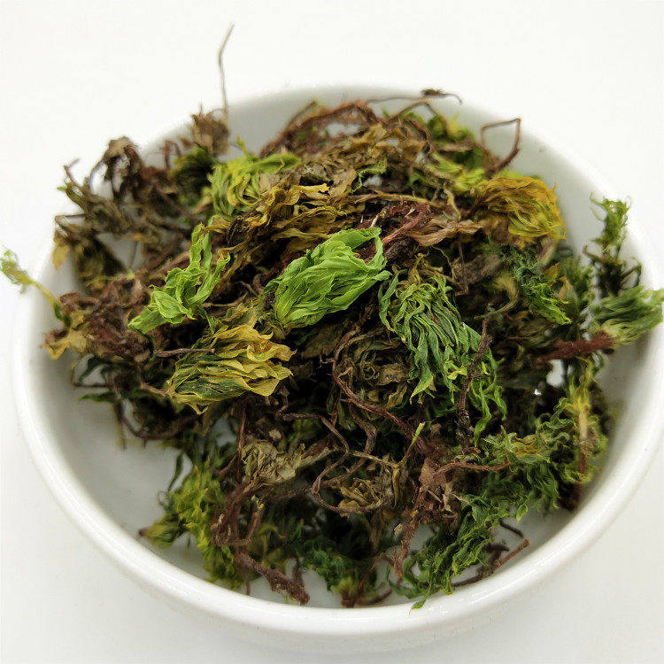 宸瑜中药材 回心草 茴心草大叶藓50克