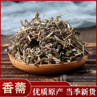 中药材 香薷50克 香茹 香草 紫花 香菜 香戎 香茸 散装中草药