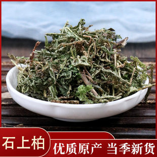 宸瑜中药材  石上柏 地柏草 地侧柏 50克