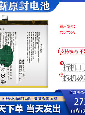 艾佩佳适用于vivoy55手机电池
