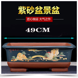 宜兴特大彩绘绿植紫砂盆