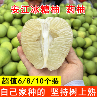 湖南怀化雪峰柚安江老树冰糖柚新鲜中华药柚高山小苦柚安福金兰柚