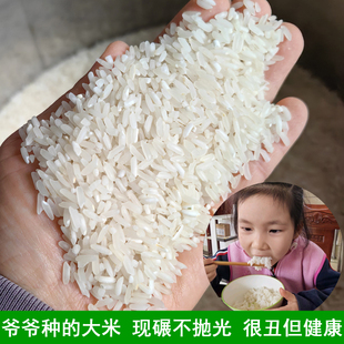 湖南农家自种大米长粒优质籼米爸爸自种不抛光不打腊现磨胚芽粳米