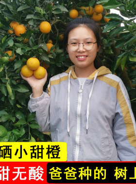 湖南怀化冰糖橙新鲜黔阳橙子当季孕妇水果手剥宝宝薄皮小甜橙10斤
