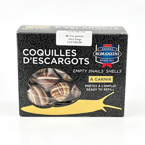西餐摆盘装饰品法国进口田螺壳法式蜗牛壳snail shell空壳