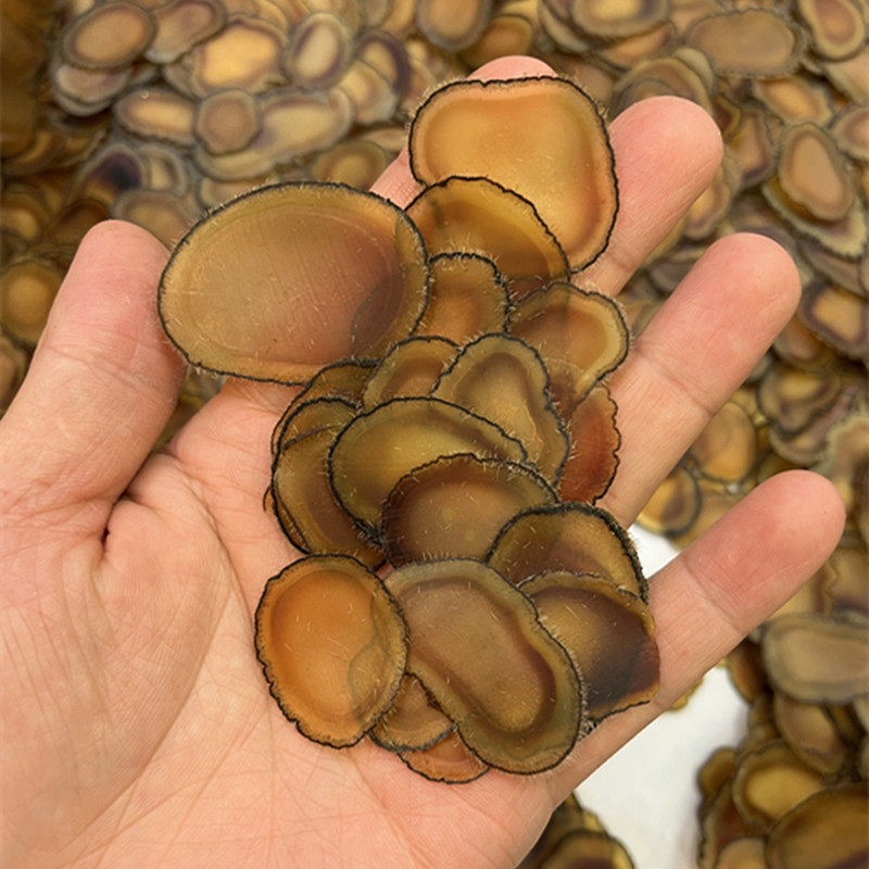 正品鹿茸含血全蜡片吉林煲汤泡酒