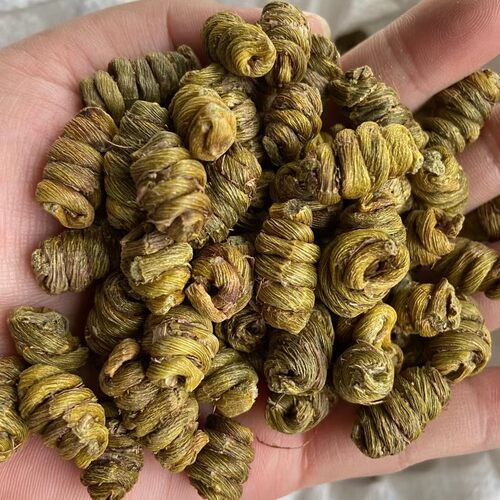 铁皮石斛雁荡山枫斗铁皮石斛