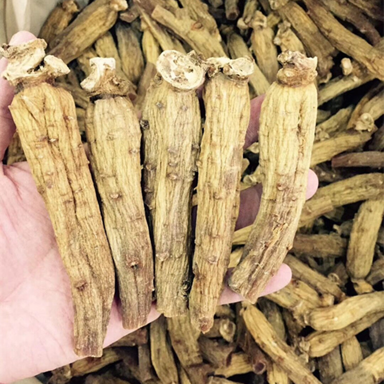 正宗进口东洋参 东洋参段 东洋参切片含片东洋参原支
