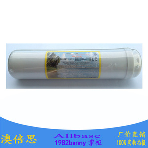 澳倍思净水器纯水机UDF一体大T33颗粒活性碳后置活性碳滤芯