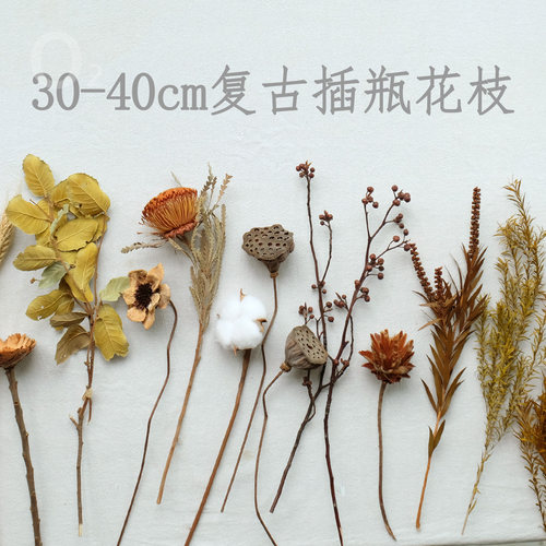 插瓶短枝复古干花30-40cm真花花材天然芦苇蒲扇麦子侘寂风干花