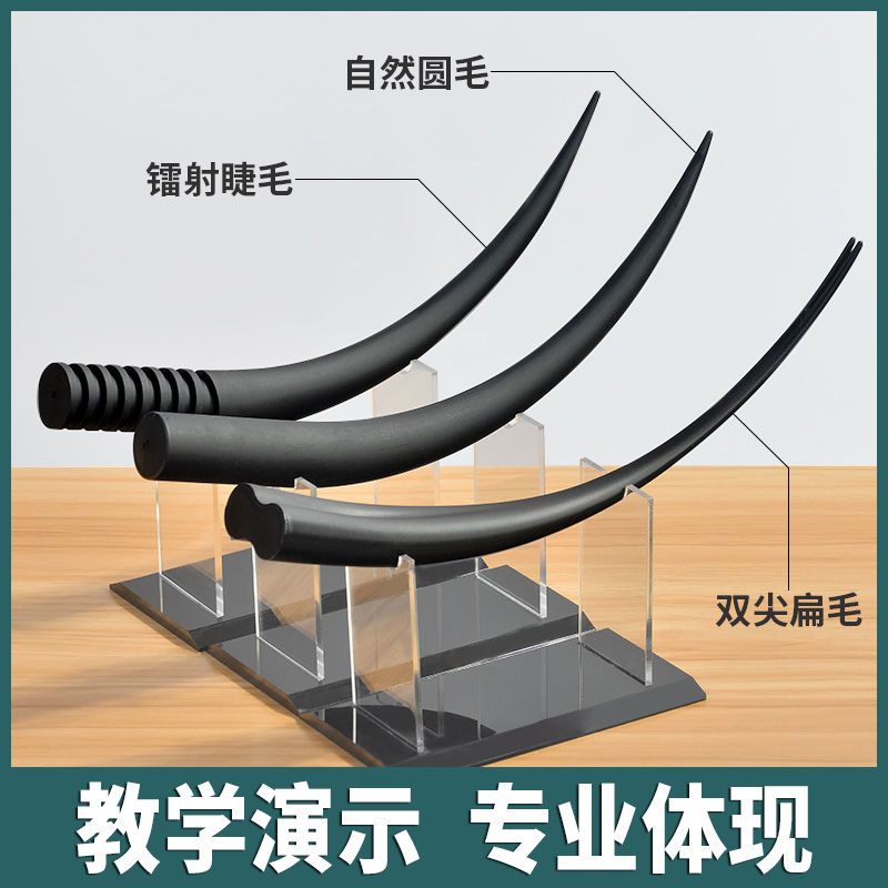嫁接假睫毛模型培训学校机构假睫毛模具练习教学演示美睫店展示