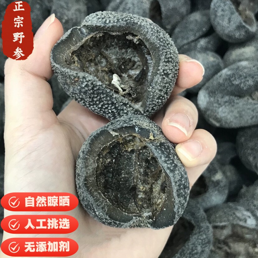 特大纯淡干高端球参越南乌元参足干海参野生深海进口厚肉珍珠球参