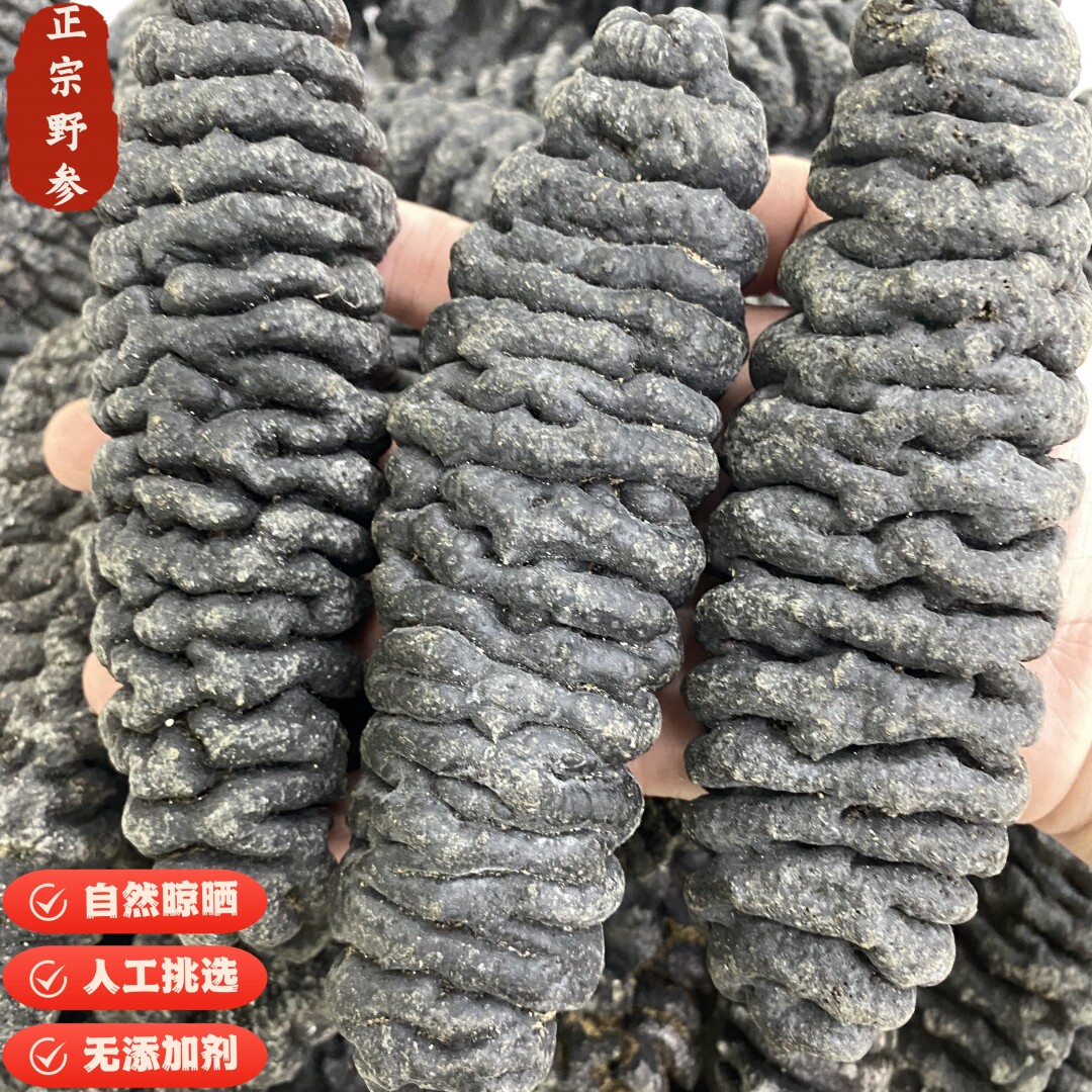 澳洲深海野生龙纹参高端进口螺纹海参