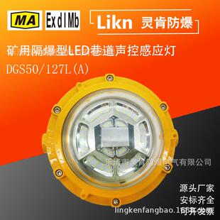 井下防爆型照明灯矿用隔爆型LED巷道感应灯 127L 声控灯DGS41