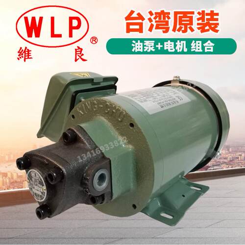 WLP润滑油泵ROP-1213A-200W三角泵螺丝机泵摆线泵齿轮泵
