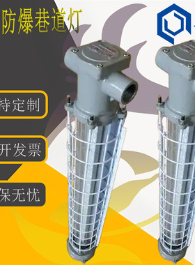 DJS18/127L(A) 矿用隔爆兼本质型LED巷道灯 45W防爆灯