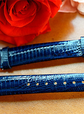 14mm深蓝色蜥蜴纹深蓝色表带12mm珊瑚蓝竹节纹表带星空表替换表带